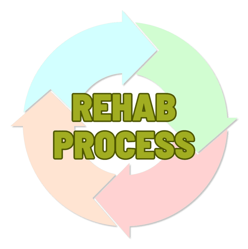   rehab process